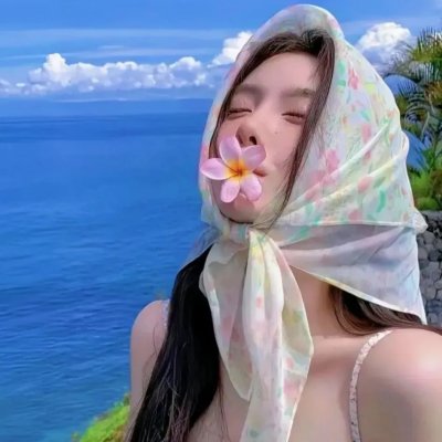 宝嘉先生